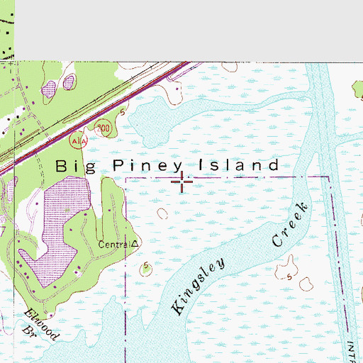 Topographic Map of Big Piney Island, FL