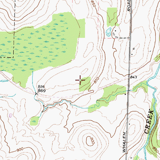 Topographic Map of Turnbull Airport, NY