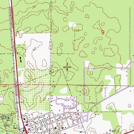 Topographic Map of White Field, FL