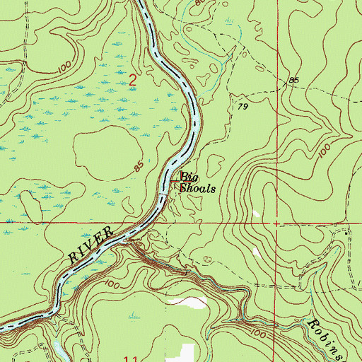 Topographic Map of Big Shoals, FL