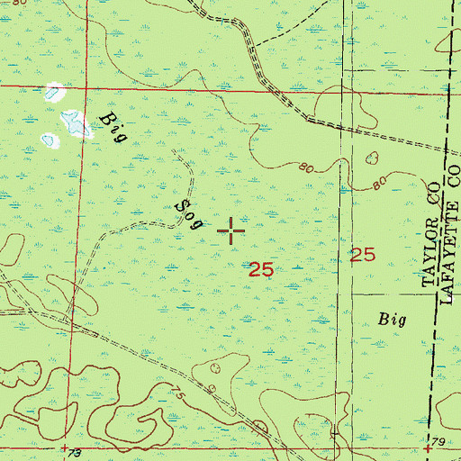 Topographic Map of Big Sog, FL