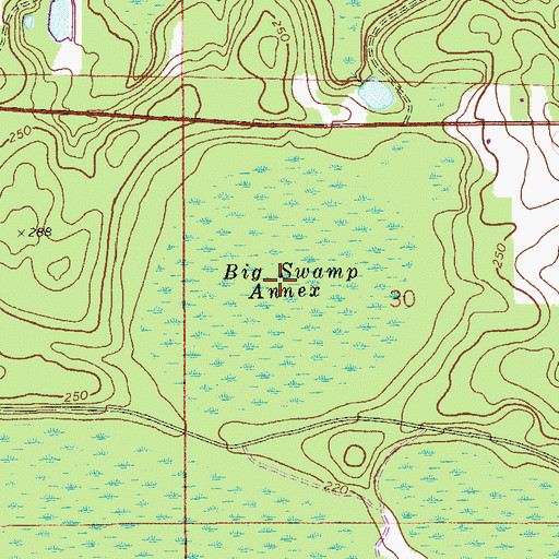 Topographic Map of Big Swamp Annex, FL