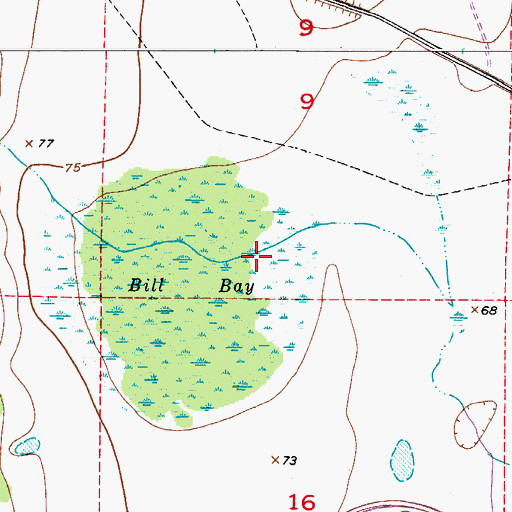 Topographic Map of Bill Bay, FL