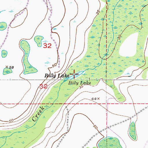 Topographic Map of Billy Lake, FL