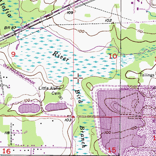 Topographic Map of Bird Branch, FL