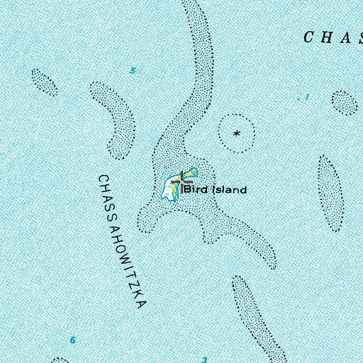 Topographic Map of Bird Island, FL