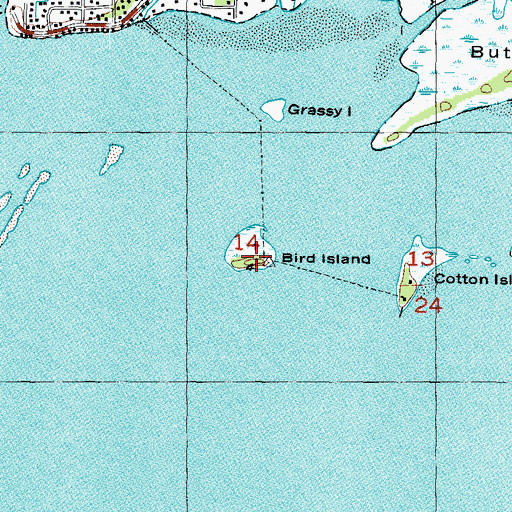 Topographic Map of Bird Island, FL