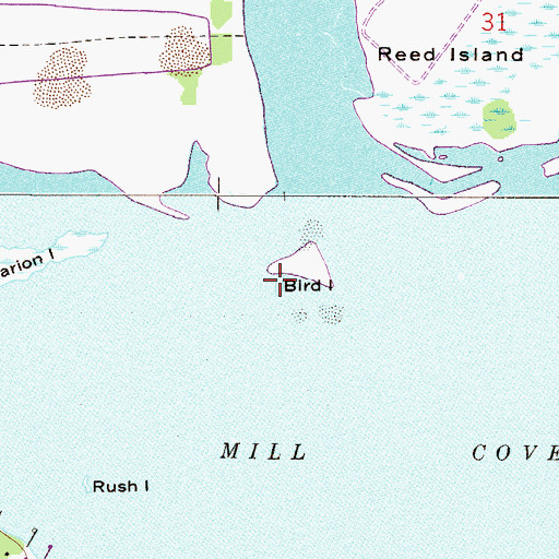 Topographic Map of Bird Island, FL