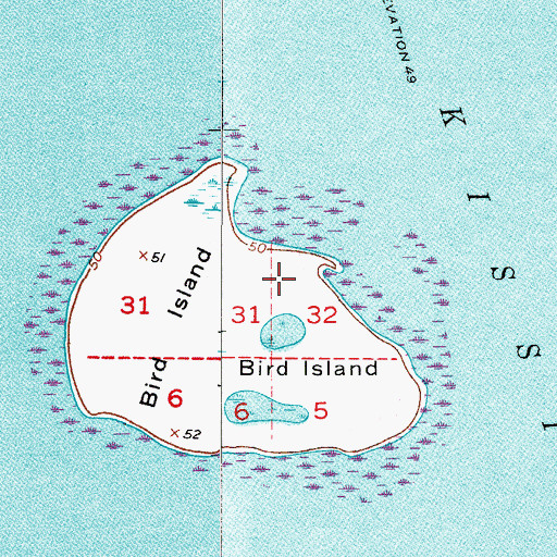 Topographic Map of Bird Island, FL