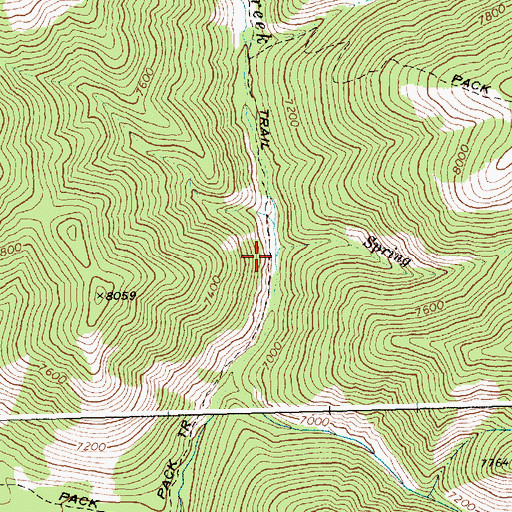 Topographic Map of Spring Creek, ID