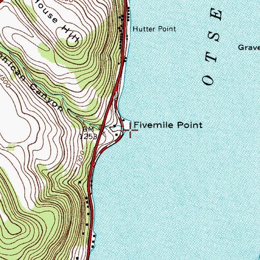 Topographic Map of Mohican Brook, NY