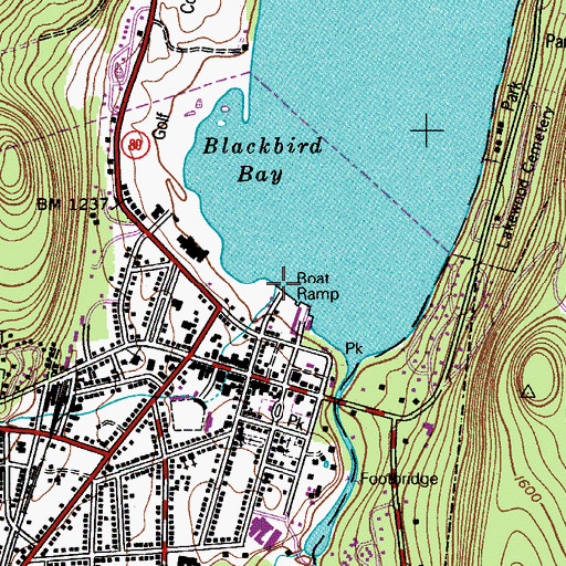 Topographic Map of Willow Brook, NY