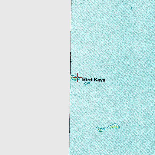 Topographic Map of Bird Keys, FL