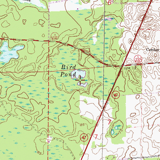 Topographic Map of Bird Pond, FL