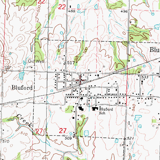 Topographic Map of Bluford Post Office, IL