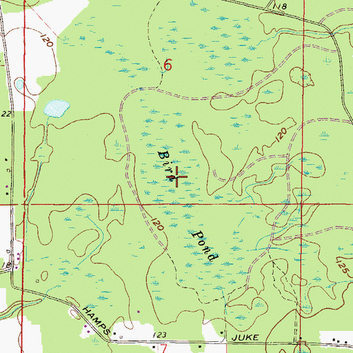 Topographic Map of Bird Pond, FL