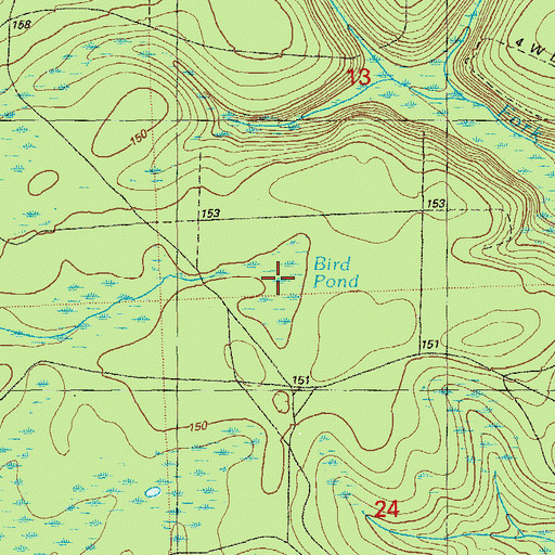 Topographic Map of Bird Pond, FL