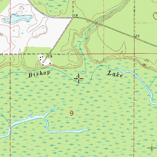 Topographic Map of Bishop Lake, FL