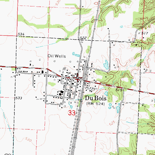 Topographic Map of Du Bois Post Office, IL
