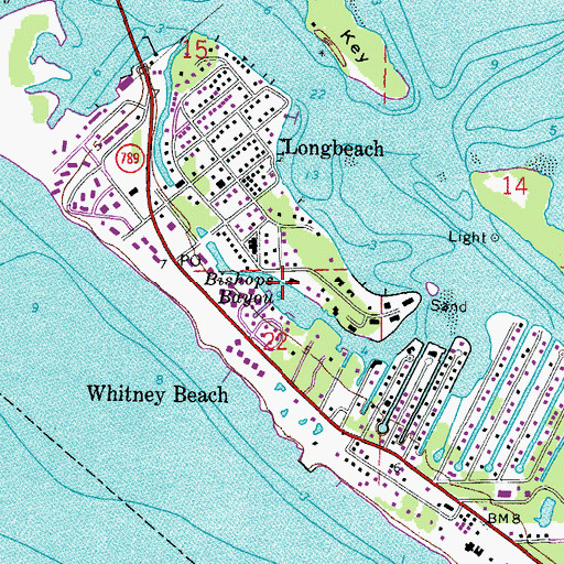 Topographic Map of Bishops Bayou, FL
