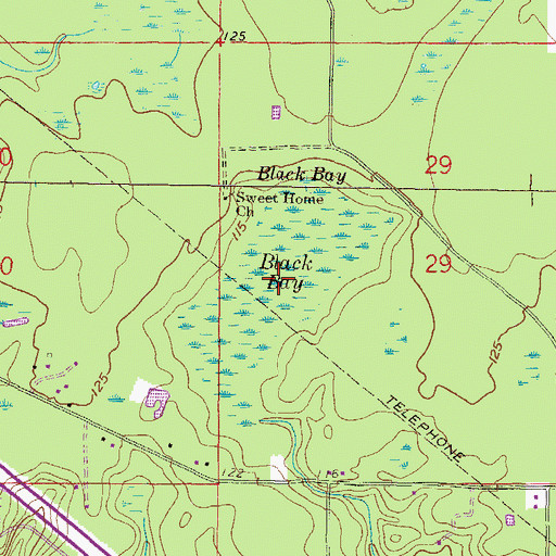 Topographic Map of Black Bay, FL