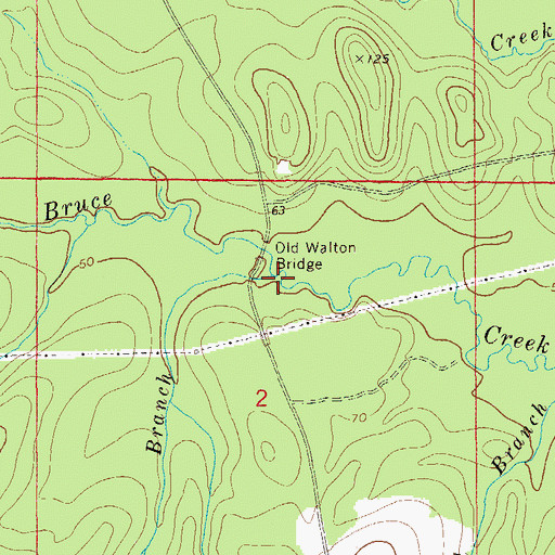 Topographic Map of Black Branch, FL