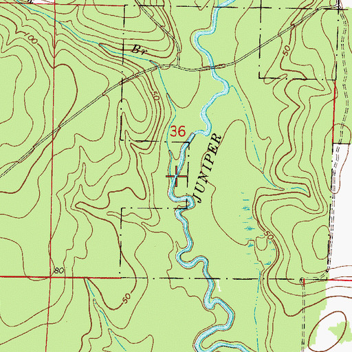 Topographic Map of Black Branch, FL