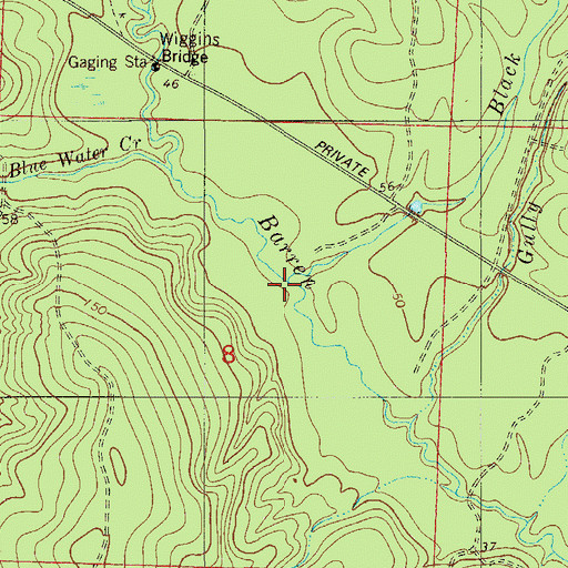 Topographic Map of Black Branch, FL