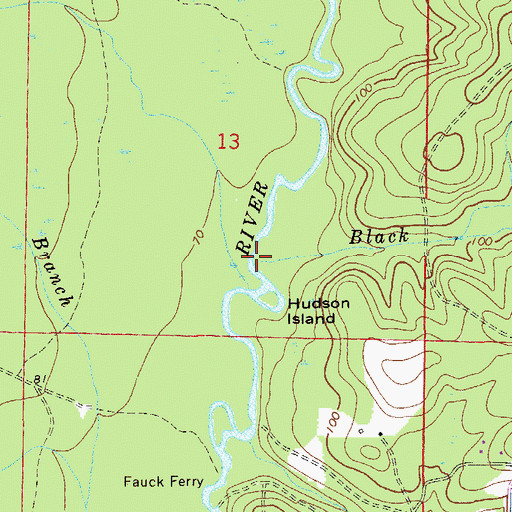 Topographic Map of Black Branch, FL