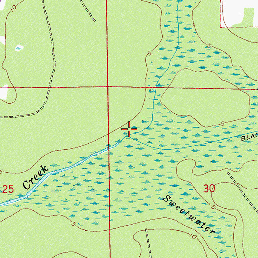 Topographic Map of Black Branch, FL