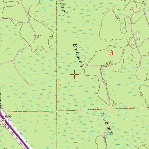 Topographic Map of Black Branch Swamp, FL