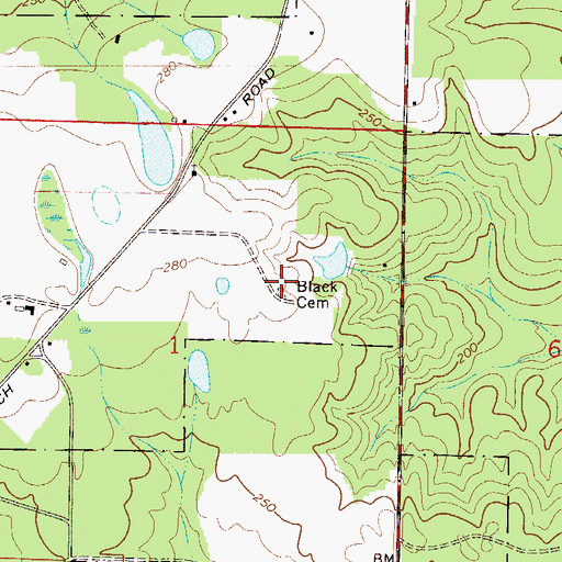 Topographic Map of Black Cemetery, FL