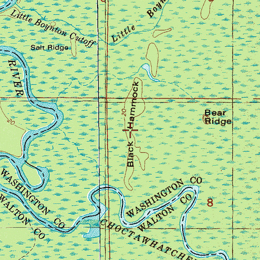 Topographic Map of Black Hammock, FL
