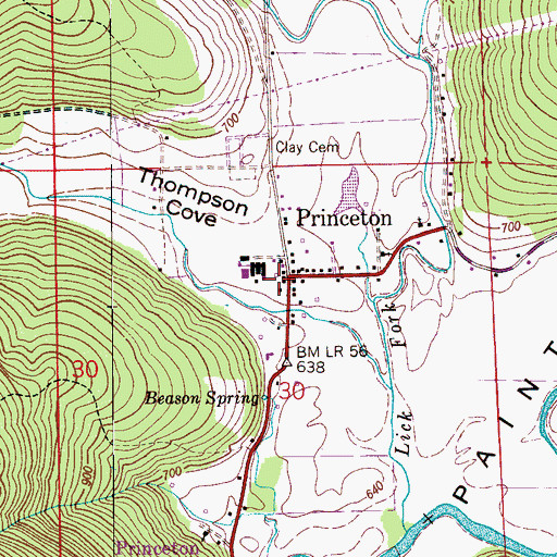 Topographic Map of Princeton Post Office, AL