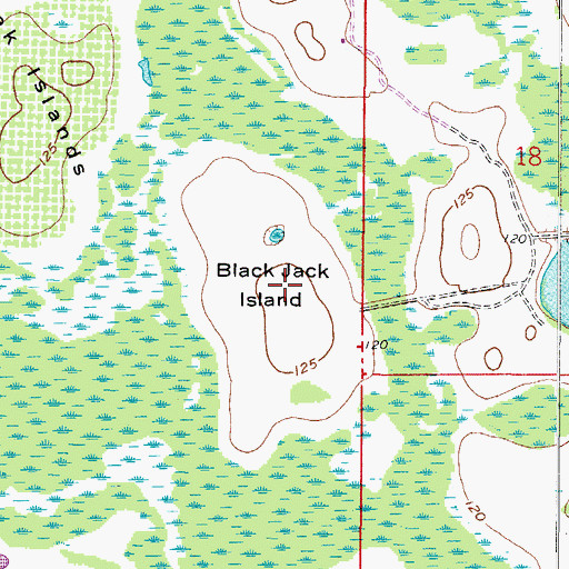 Topographic Map of Black Jack Island, FL