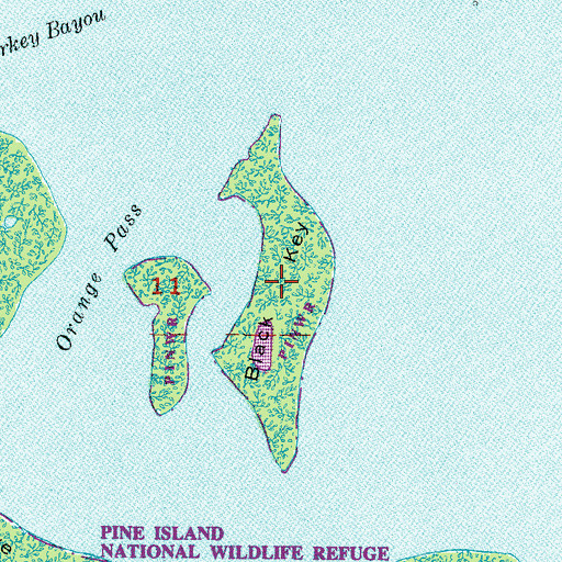 Topographic Map of Black Key, FL