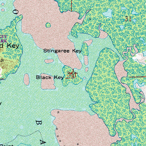 Topographic Map of Black Key, FL