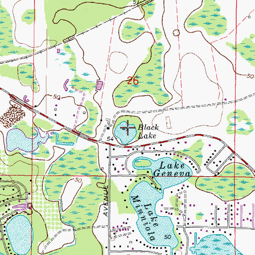 Topographic Map of Black Lake, FL