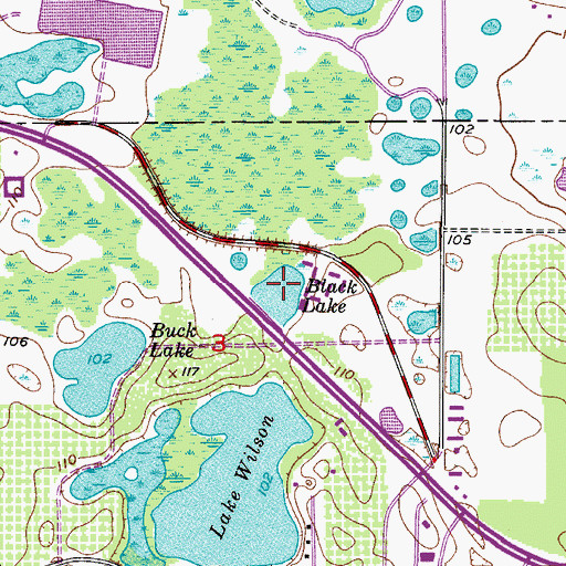 Topographic Map of Black Lake, FL