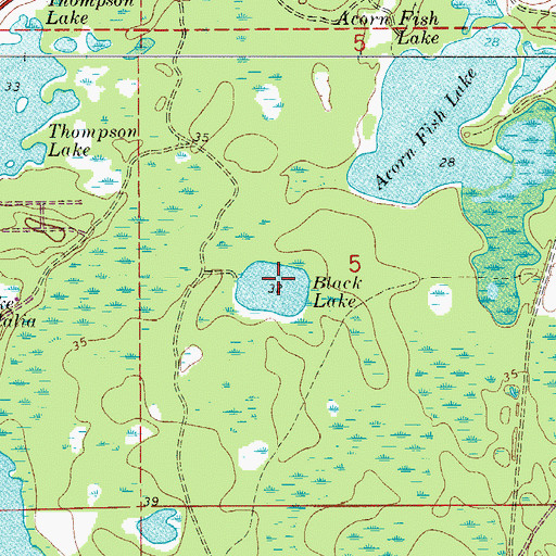 Topographic Map of Black Lake, FL