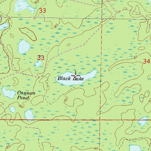 Topographic Map of Black Lake, FL