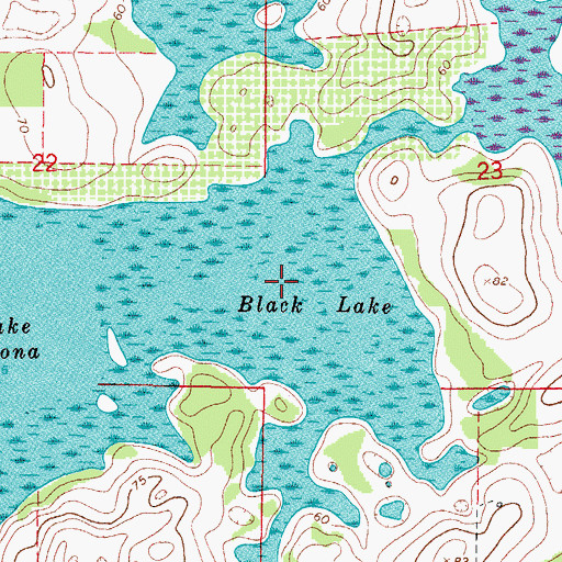 Topographic Map of Black Lake, FL