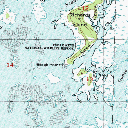 Topographic Map of Black Point, FL