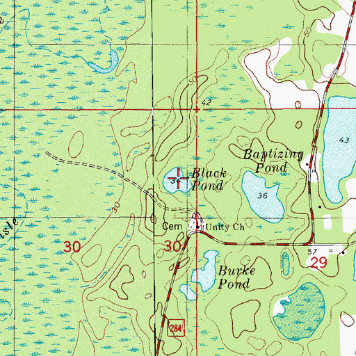 Topographic Map of Black Pond, FL