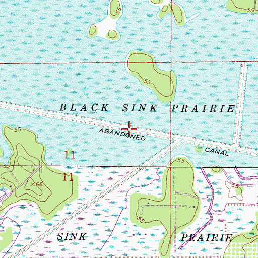 Topographic Map of Black Sink Prairie, FL