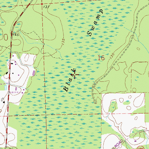 Topographic Map of Black Swamp, FL