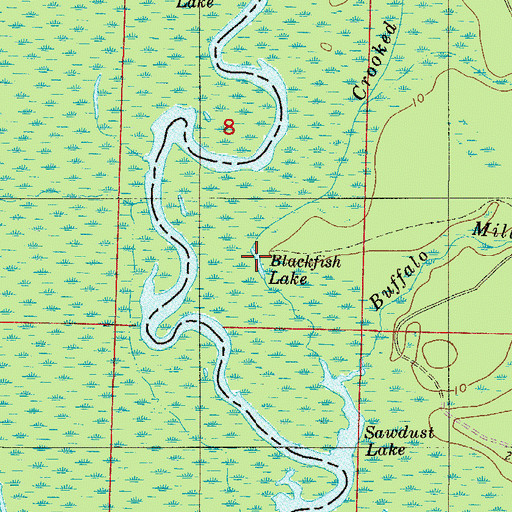 Topographic Map of Blackfish Lake, FL