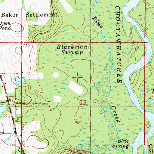 Topographic Map of Blackman Swamp, FL