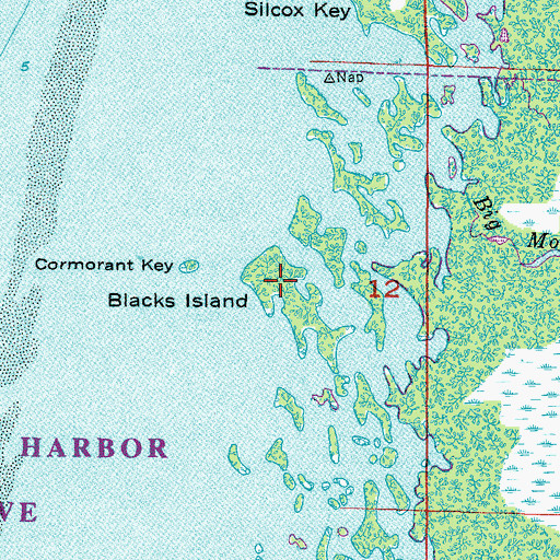 Topographic Map of Blacks Island, FL