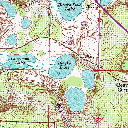 Topographic Map of Blacks Lake, FL